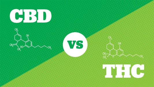 How to Use Hemp & Flower CBD to Quit Smoking Weed? - HighNSupply
