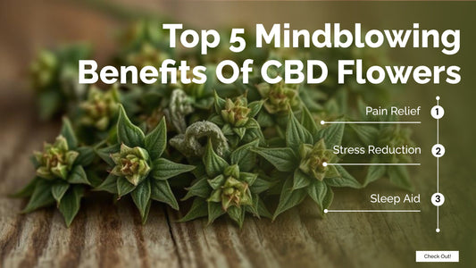 Top 5 Benefits of Using CBD Flower for Wellness You Should Know - HighNSupply