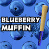 Blueberry Muffin HHC Pre Roll - Rolled in Kief - HighNSupply