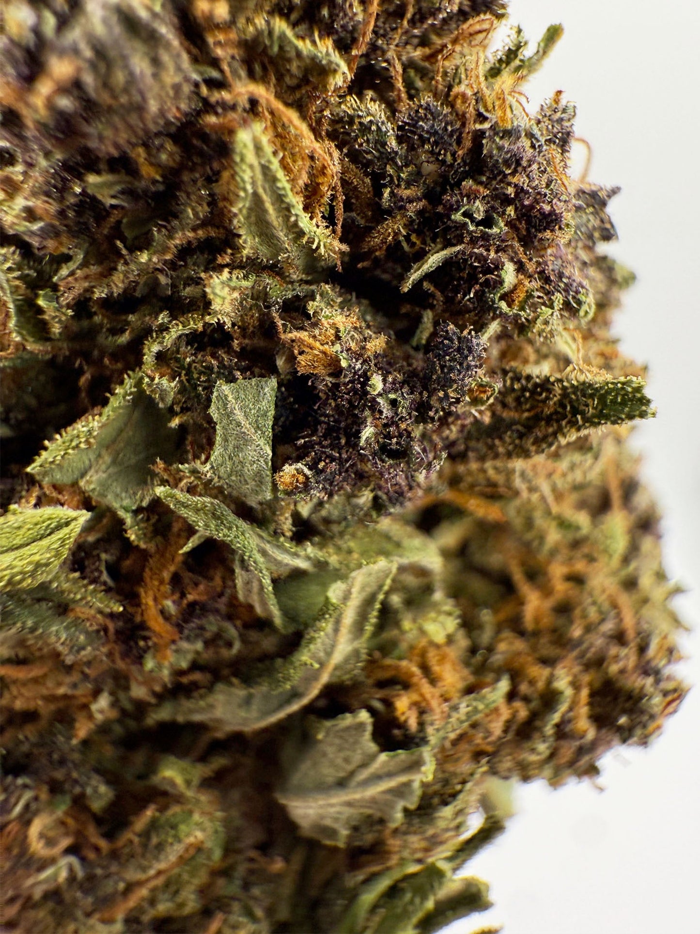 Grandaddy Purple - 20.3% CBD - HighNSupply