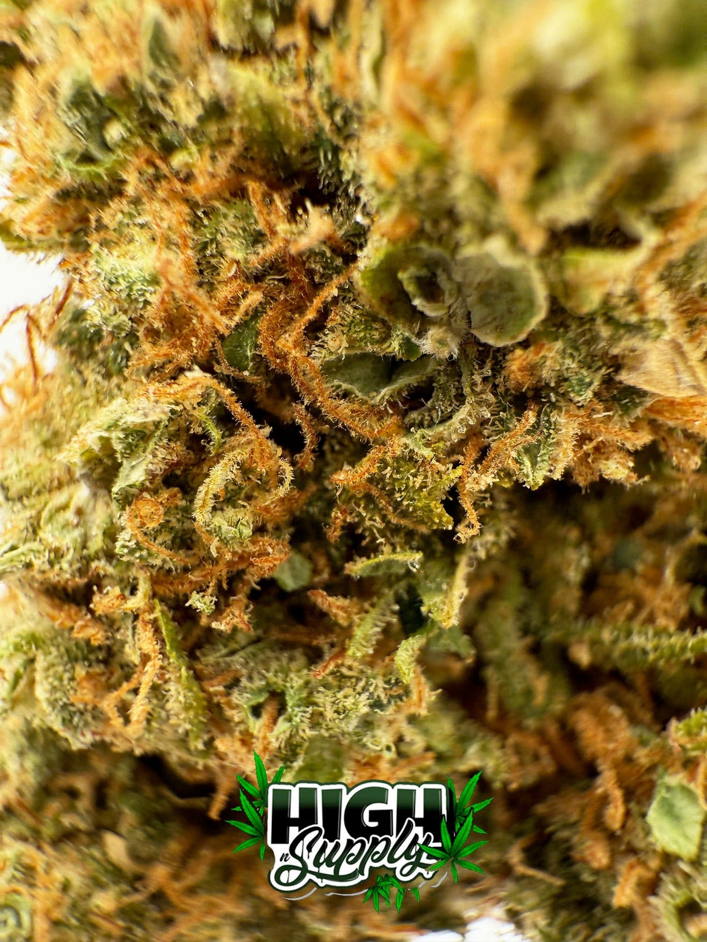 Lemon Pie - 22.76% CBD - HighNSupply