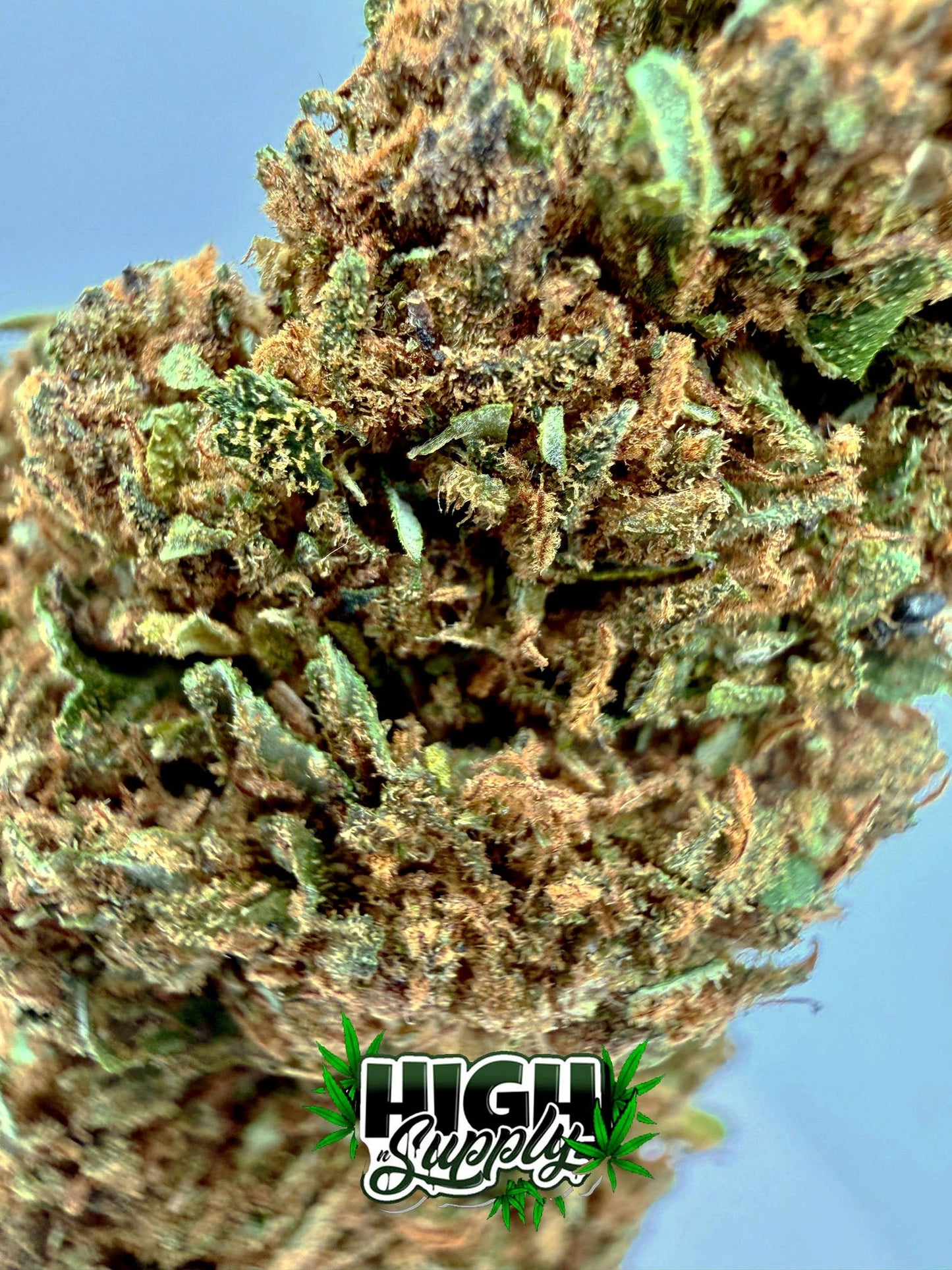 Pink Rozay - 19.58% CBD - HighNSupply