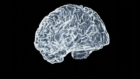Brain Fog Explained: Why Chronic Stress Clouds Your Thinking - HighNSupply
