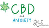 CBD and Anxiety - A Comprehensive Exploration of Symptoms, Causes, and Impact on Mental Health - HighNSupply