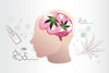 CBD Flower & Mental Health: Understanding The Potential Impact - HighNSupply