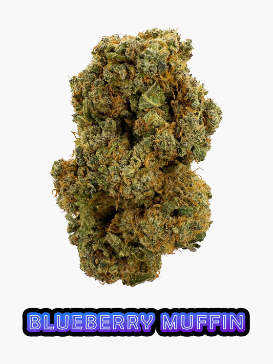 Blueberry Muffin - 23% CBD