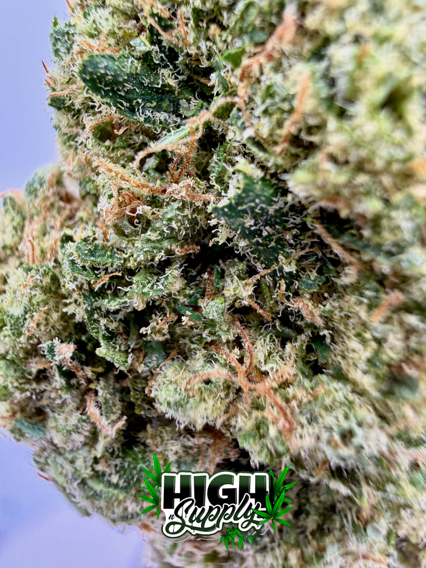 Girl Scout Cookies - 22.54% CBD