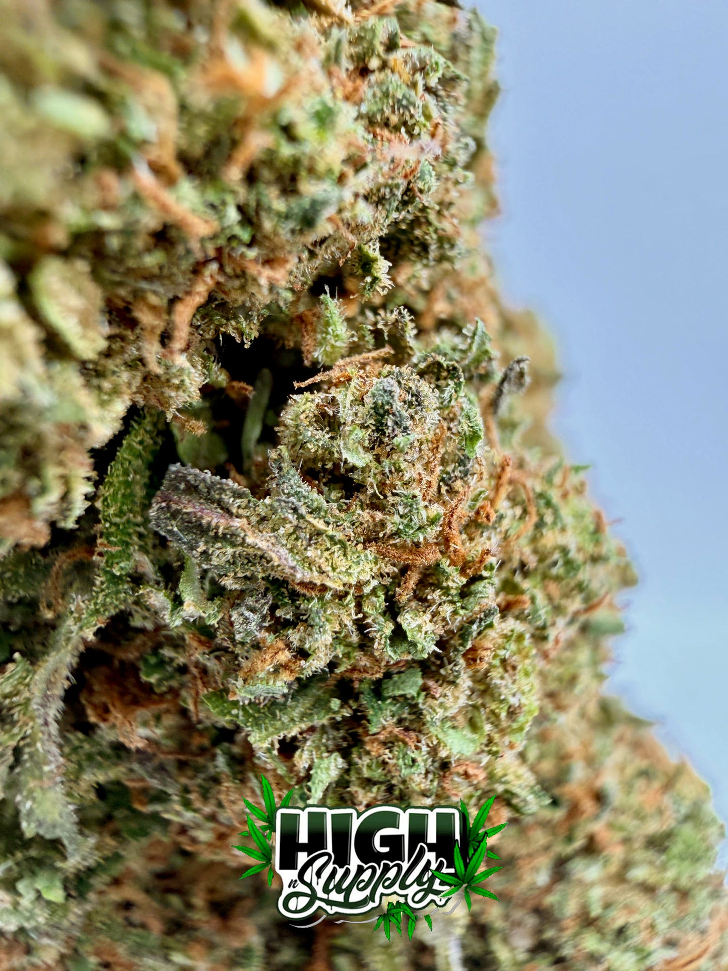 Strawberry Cheesecake - 19.85% CBD