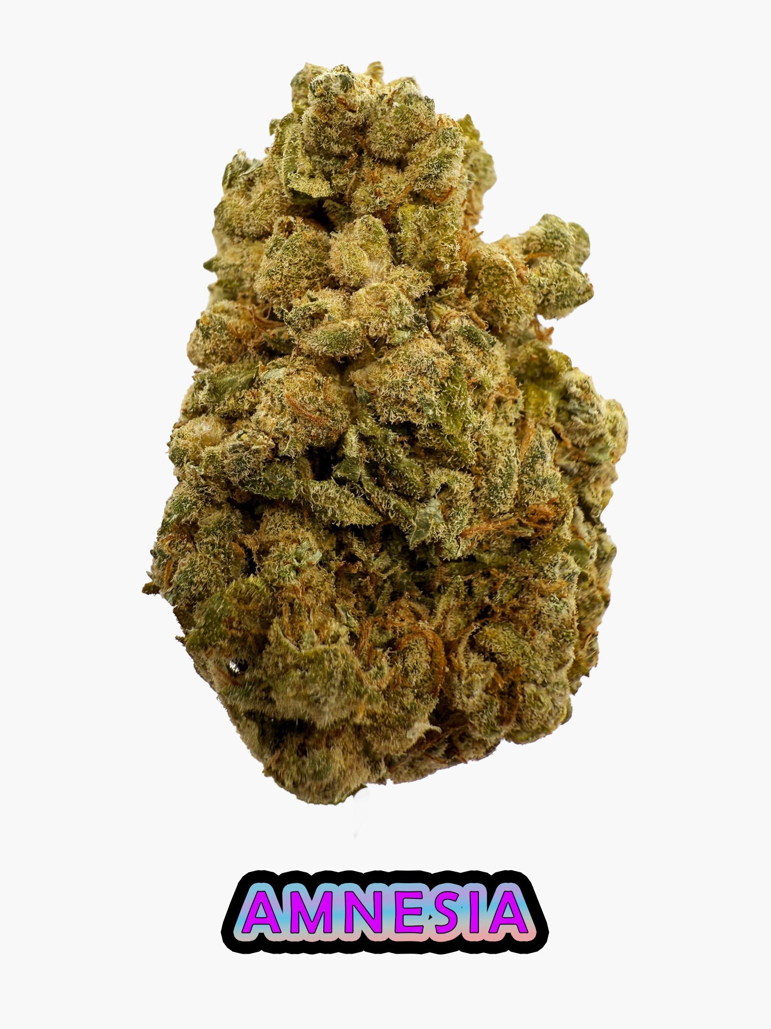 Amnesia - 22.98% CBD - HighNSupply