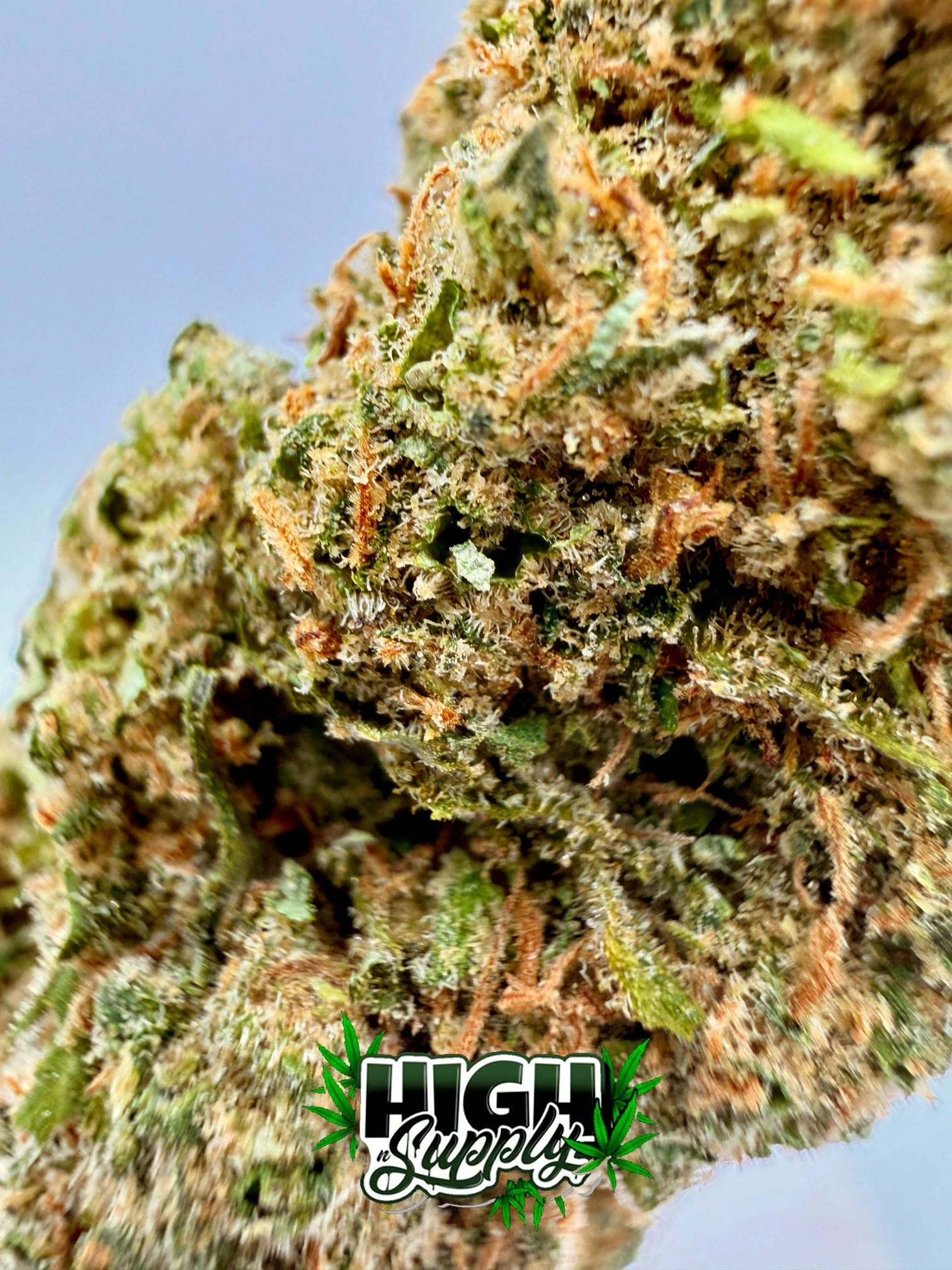 Chiquita Banana - 23.42% CBD - HighNSupply