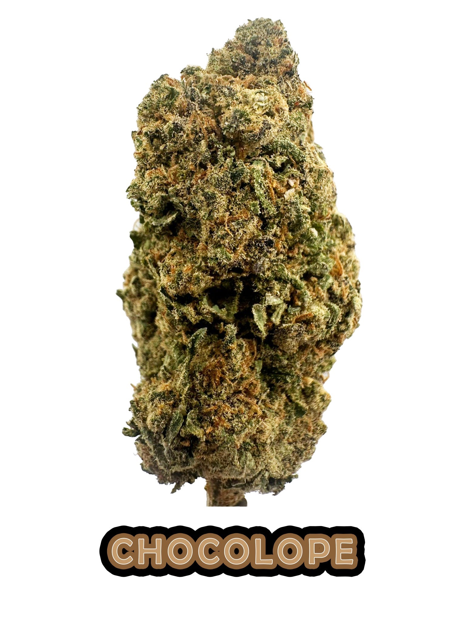Chocolope - 22.1% CBD - HighNSupply