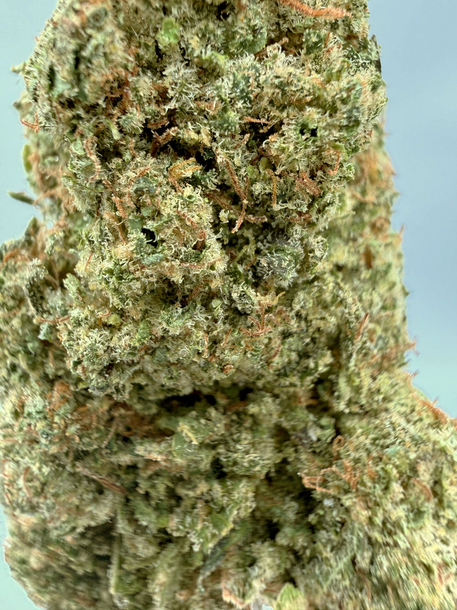 Cookie Monster - 22.23% CBD - HighNSupply