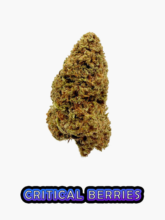 Critical Berries - 20.12% CBD - HighNSupply