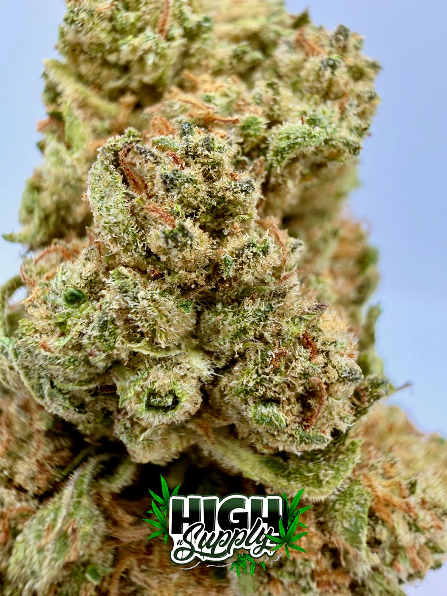 F1 Exotics - 23.32% CBD - HighNSupply