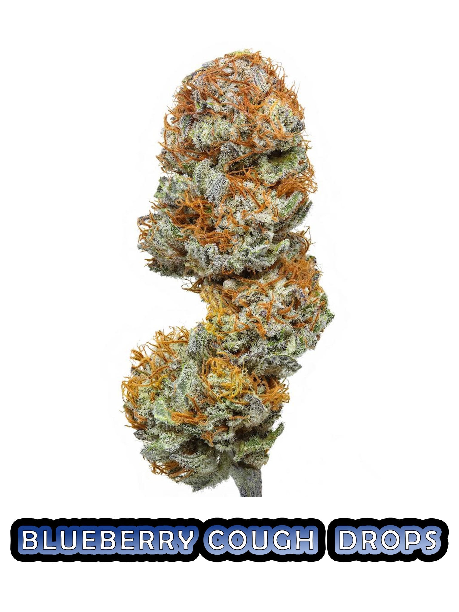 Flow Gardens Blueberry Cough Drops - 15% CBD - HighNSupply