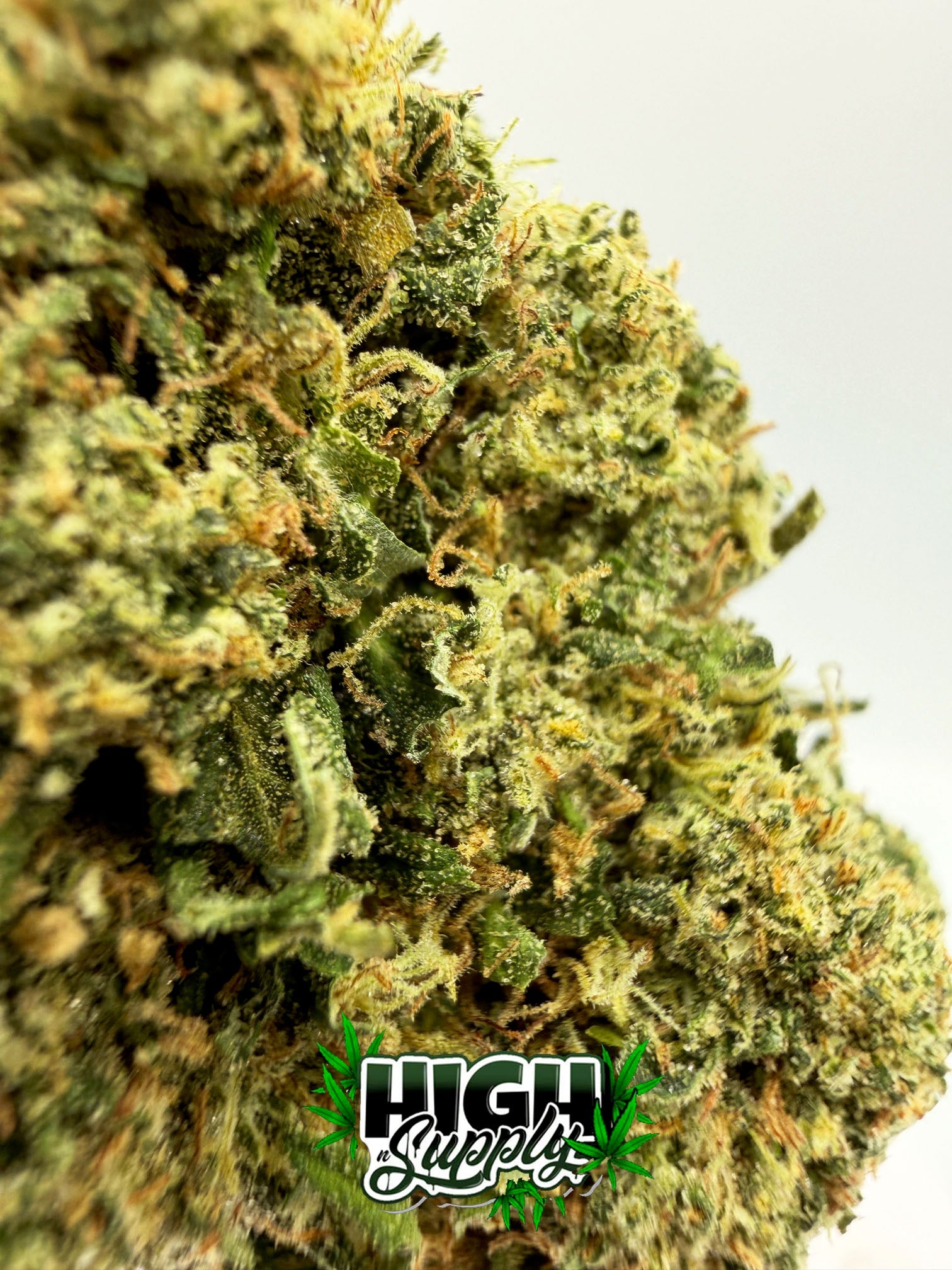 Gary Payton - 23.45% CBD - HighNSupply