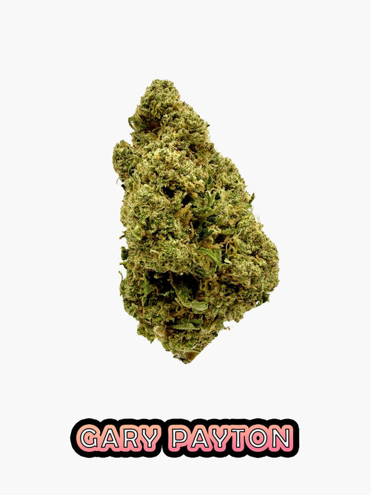 Gary Payton - 23.45% CBD - HighNSupply