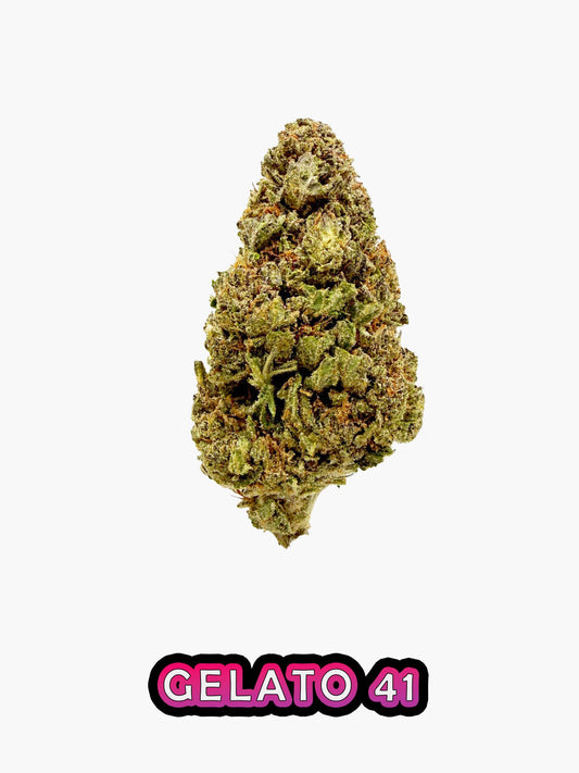 Gelato 41 - 19.63% CBD - HighNSupply