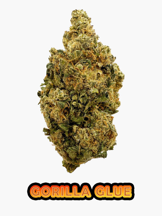 Gorilla glue - 23.01% CBD - HighNSupply