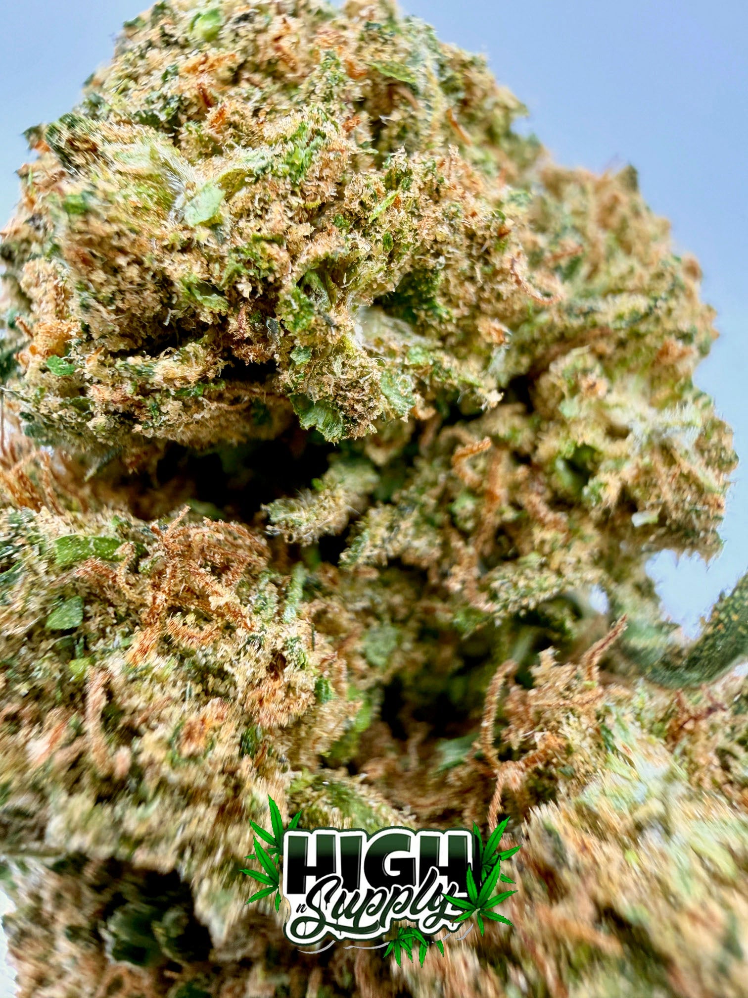 Joker Kush - 21.03 CBD - HighNSupply