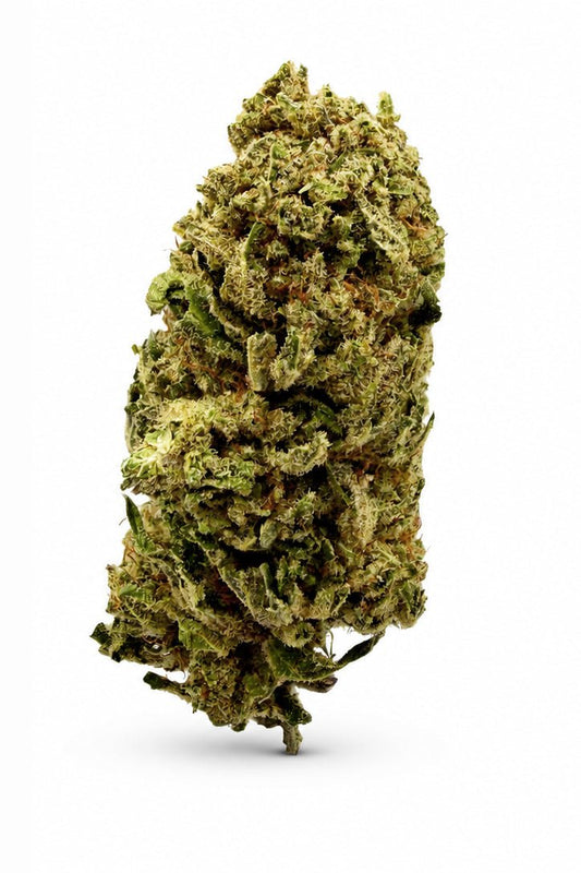 Lemon Crush - 19.89% CBD - HighNSupply