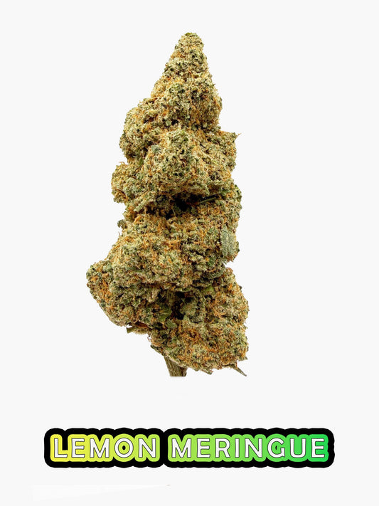Lemon Meringue - 23.02% CBD - HighNSupply