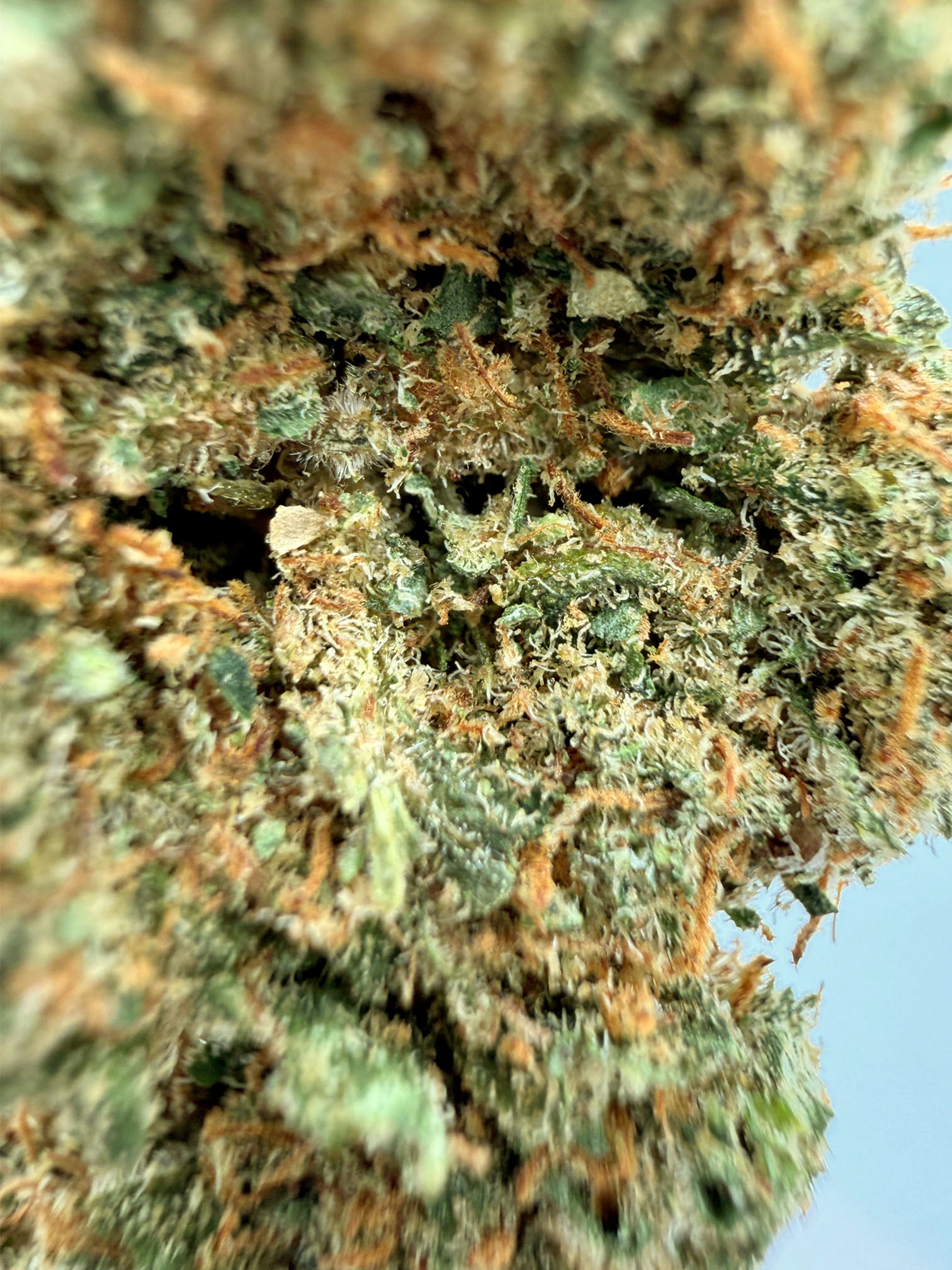 Lemon Meringue - 23.02% CBD - HighNSupply
