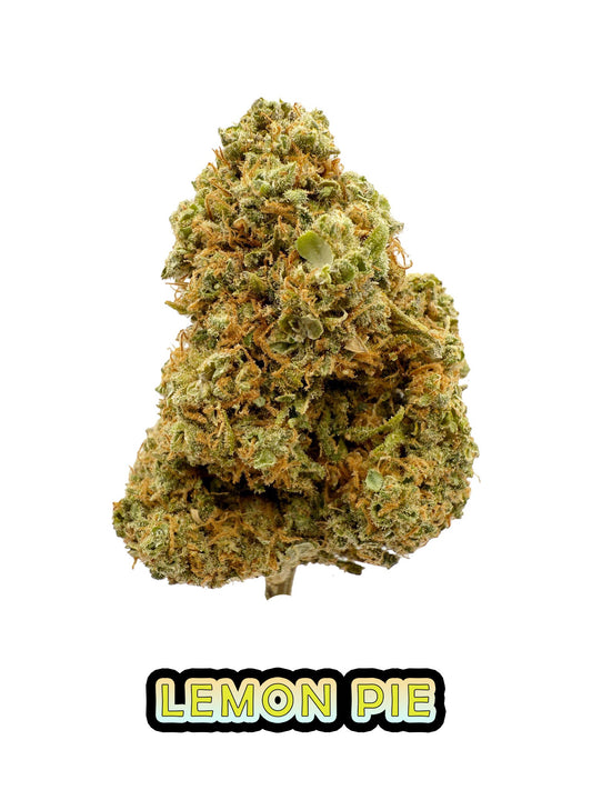Lemon Pie - 22.76% CBD - HighNSupply