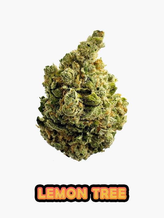 Lemon Tree - 23.09% CBD - HighNSupply