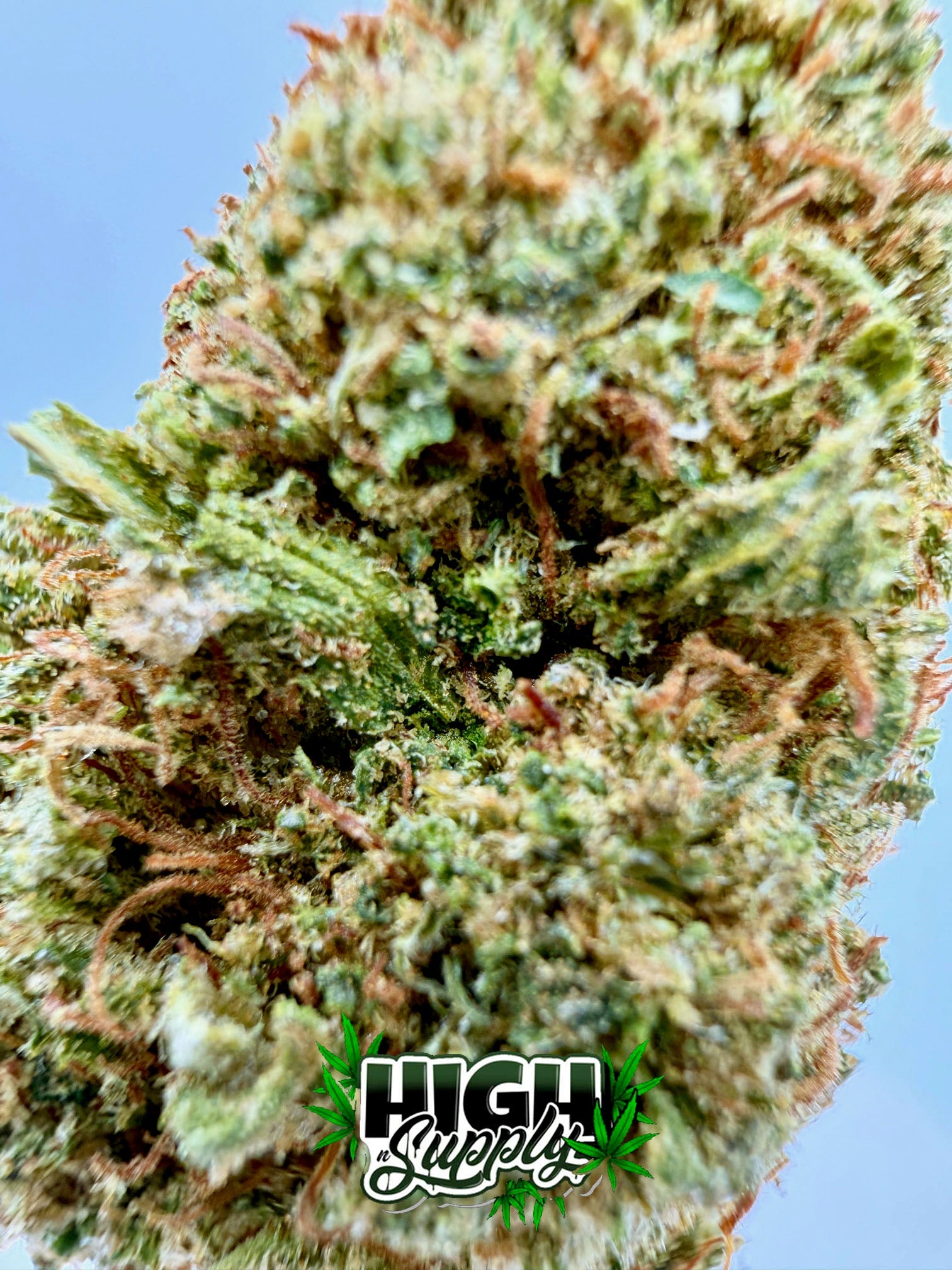 Oasis Kush - 21.11% CBD - HighNSupply