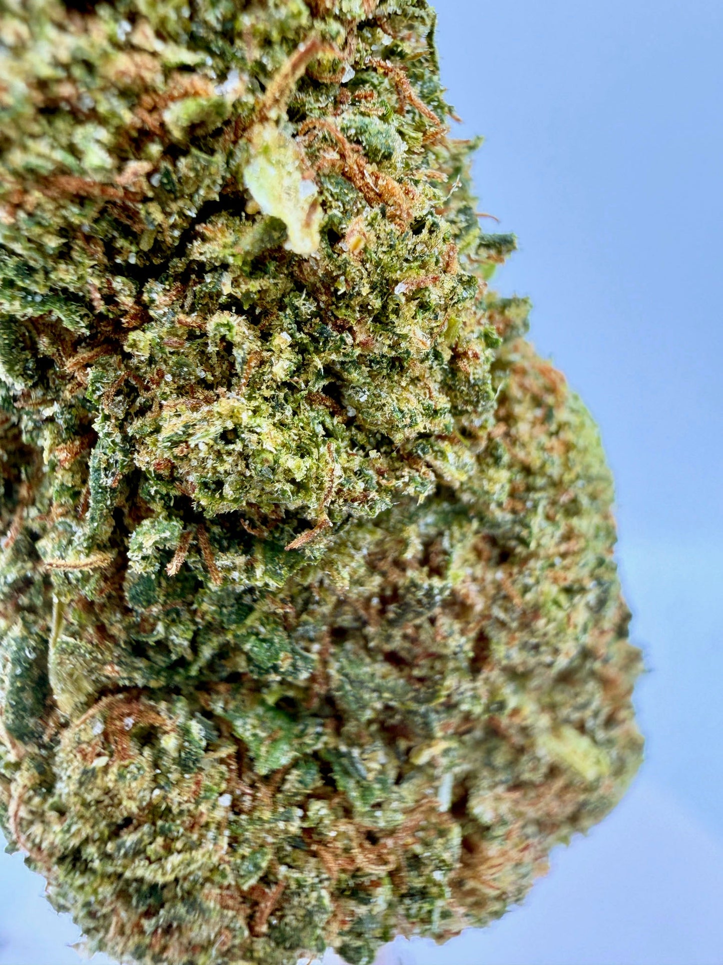Peach Ringz - 19.89% CBD - HighNSupply