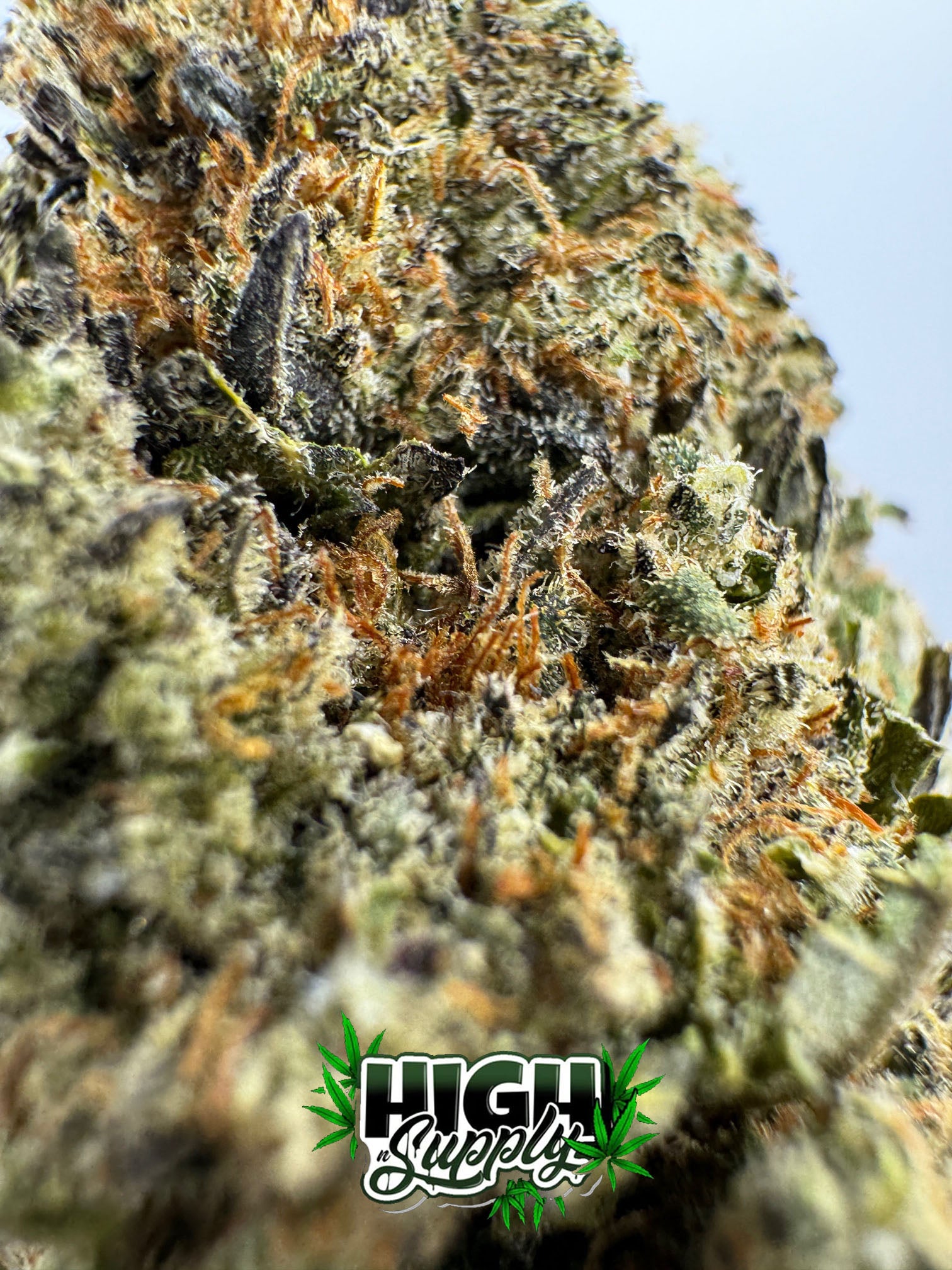 Snoop Doggg - 23.2% CBD - HighNSupply