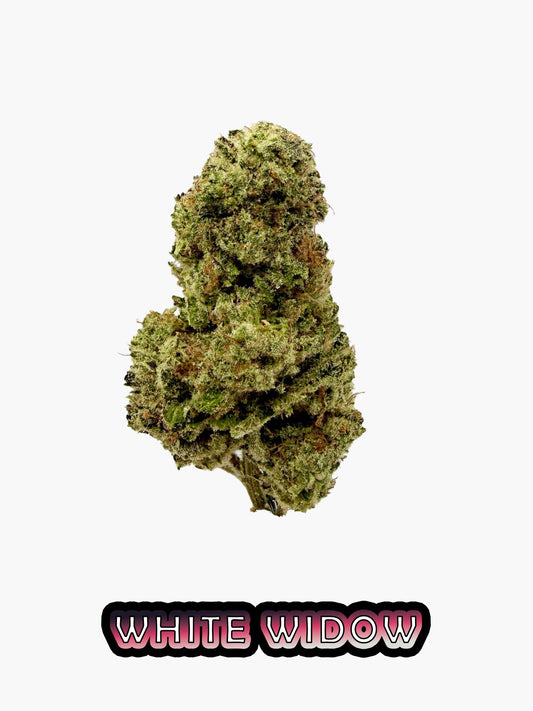 White Widow - 23.52% CBD - HighNSupply